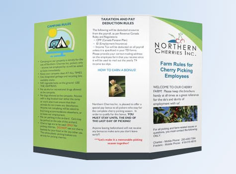 Affordable Web Design Ltd can design marketing material for you.