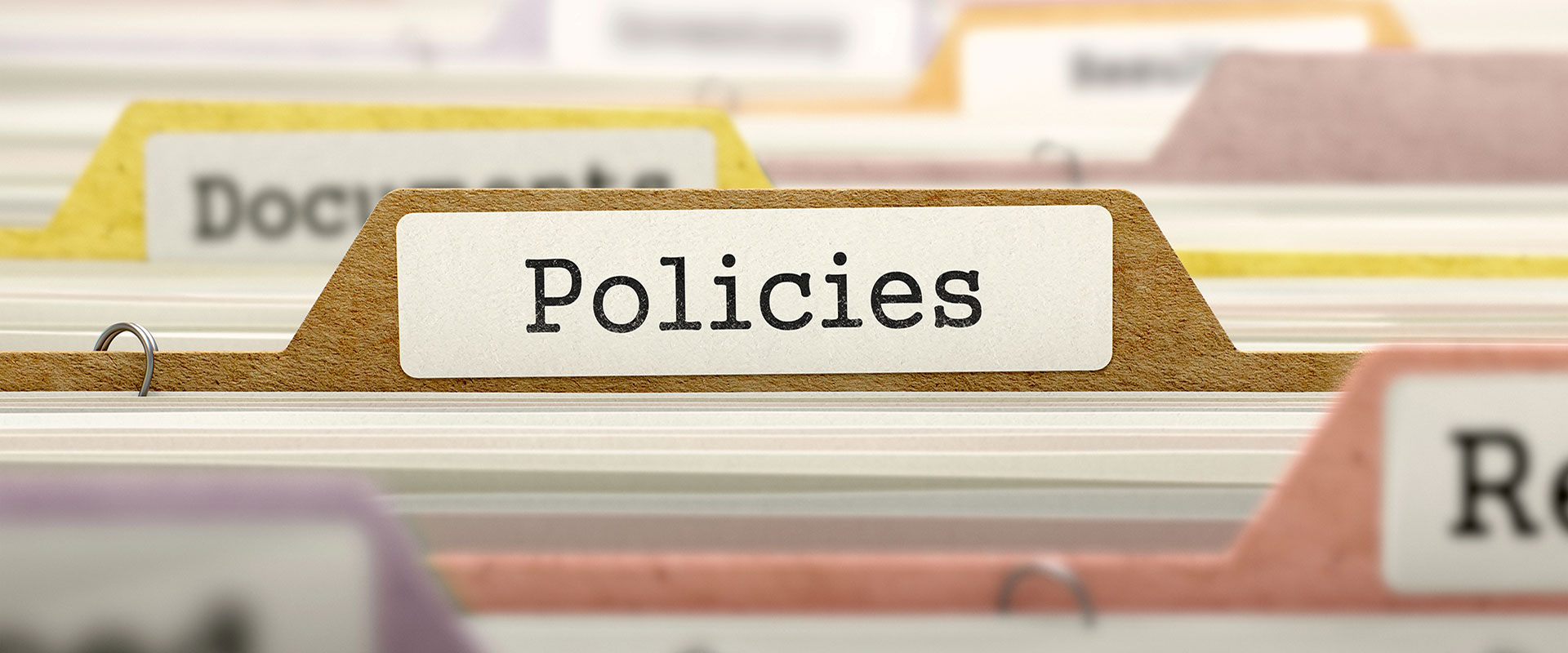 View our Affordable Web Design Ltd policies so that there are no surprises when you hire us!