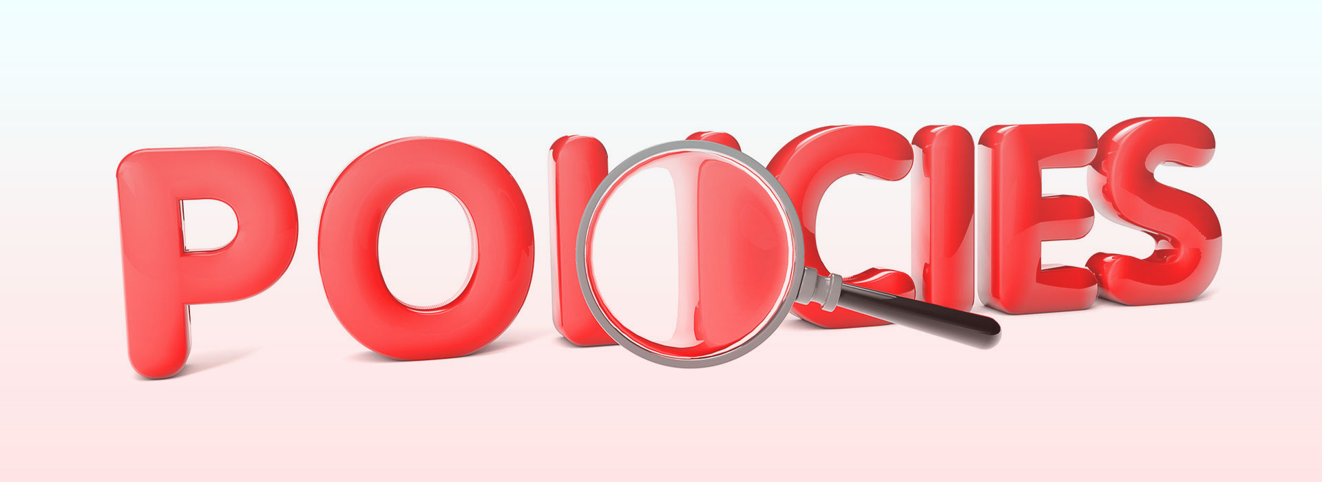Affordable Web Design Ltd - please make sure you are aware of all our policies because they are binding on all our clients.
