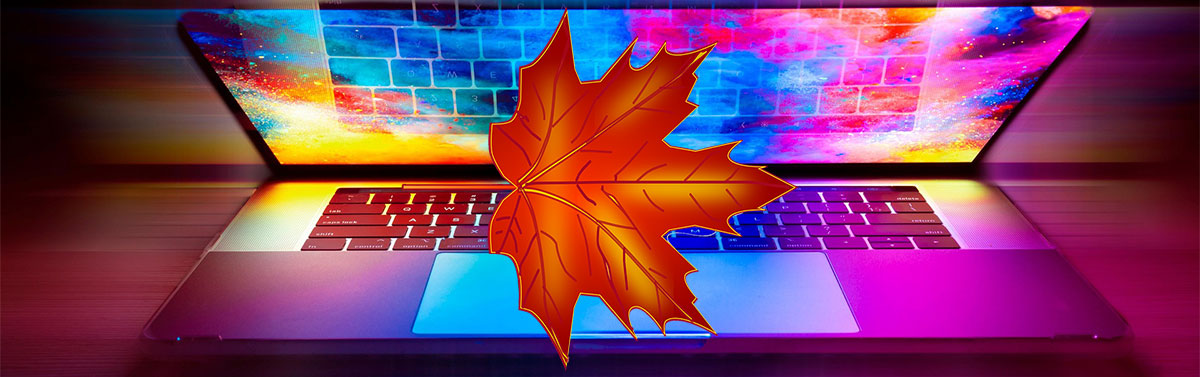Affordable Web Design Ltd offers all pricing in Canadian dollars, which greatly benefits American businesses because of the current US / CAD exchange rate.